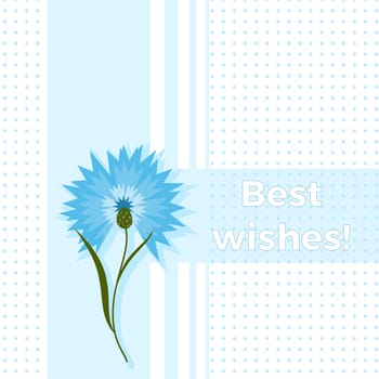 Floral greeting card best wishes with blue flower cornflower or centaurea cyanus. Polka dot background. Cartoon cornflower postcard