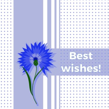 Floral greeting card best wishes with blue flower cornflower or centaurea cyanus. Polka dot background. Cartoon cornflower postcard