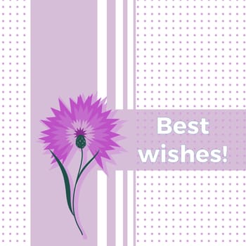 Floral greeting card best wishes with blue flower cornflower or centaurea cyanus. Polka dot background. Cartoon cornflower postcard