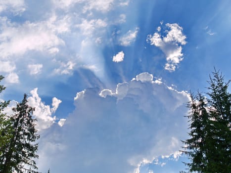 the rays of the sun are framed by a bright, large white cloud on the blue sky with the peaks of the high fir