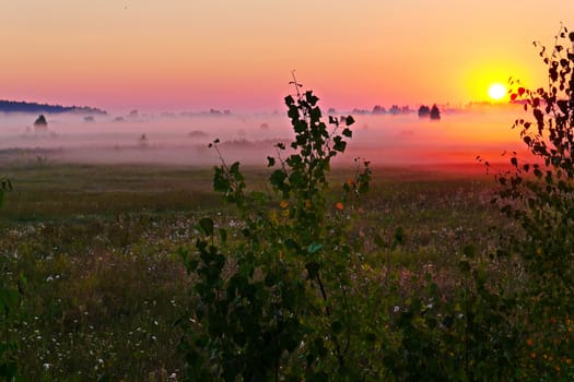 A light haze enveloping the meadow with the wild flowers growing on it and a bright yellow disk of the sun rolling over the horizon.