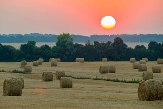 A majestic view of the sun slowly rolling on a tree planting with a nearby field of dried hay.