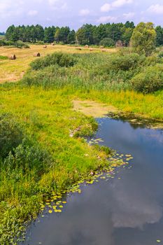 A small swampy pond with grass growing on the shore and bushes with a nearby mowed lawn with dried hay.