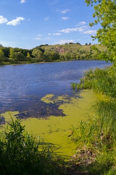 Thickets on the shore of the edge of the blue river against the backdrop of a green rocky mountain