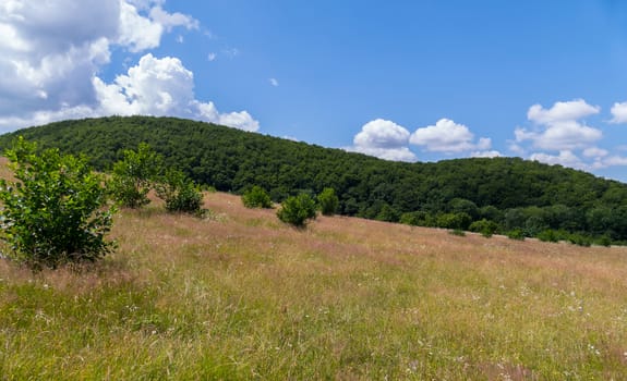 The meadow is covered with dried grass with a green slope and the sky lying on it with white clouds. Beautiful idyll of wild nature.