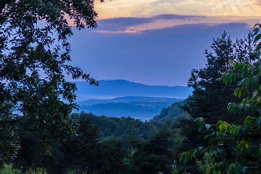 Blue mountains merging with clouds and sky in the background and green branches