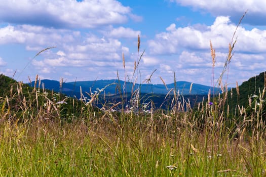 A beautiful view of low floating white clouds over mountain peaks and slopes covered with green forests from a meadow dotted with tall grass and flowers.