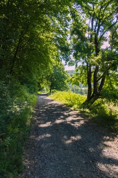 The road from the bulk of the stone on the edge of a deciduous forest in the rays of the sun