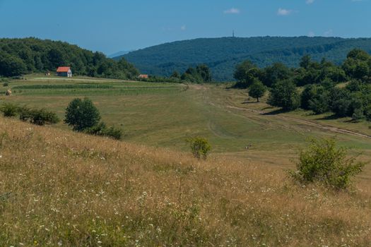 people at the bottom of a hill going to a dirt road in a hot summer noon