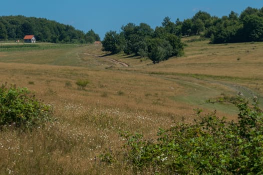 a dirt road among dry herbs stretches to the field near the village on a hill
