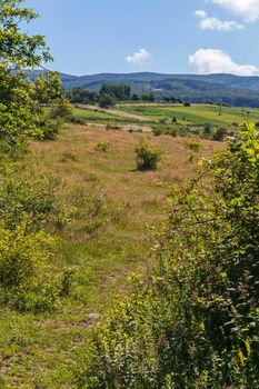 Sultry summer day with a view of the green nature. Rural vegetable gardens with planted plants located at the foot of the green slopes of the hills.