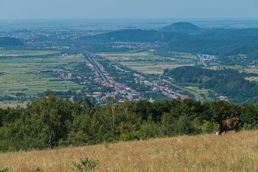 A magnificent landscape of the city lying in a green valley stretching into the distance to the horizon line next to the mountains.
