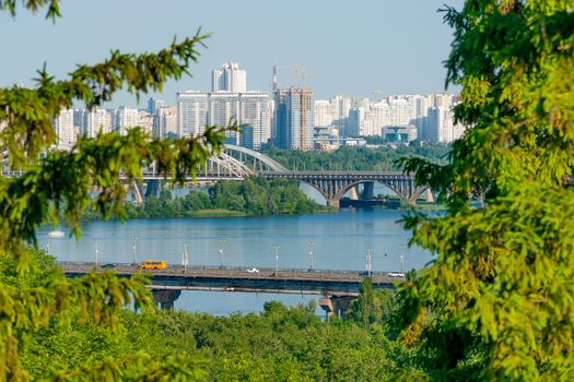 Branches of coniferous trees in the foreground and a beautiful city with a river and high-rise buildings on the back