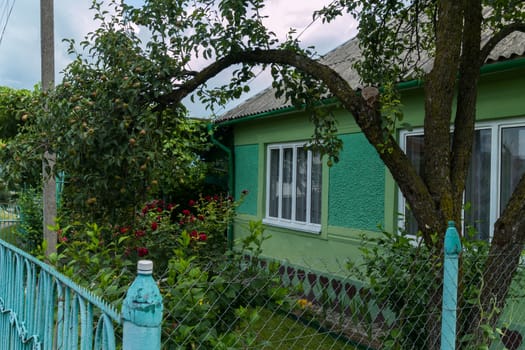 The old iron fence around the apartment building against the backdrop of a lush pear and a red rose