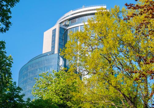 Beautiful view from behind a yellow foliage tree on a tall building with beautiful architecture with glass walls standing against a clear clear blue sky.