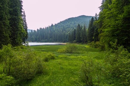 Beautiful blue transparent lake at the foot of the green huge mountains