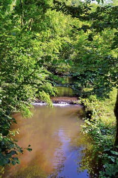 A fast river canal with rapids against a background of green trees and small bushes