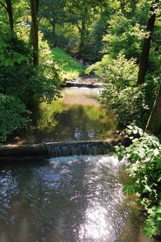 A fast river flowing with large water currents against the background of green trees