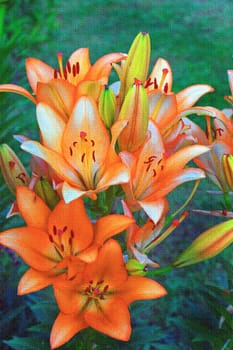 Canvas with painted bright orange lilies on a background of green grass