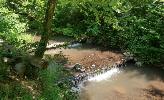 transparent water of a shallow river flowing through a log lying in place of a bridge