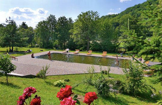 A small pool in the park with trestle beds and benches. In the foreground there are several flowers of a red rose