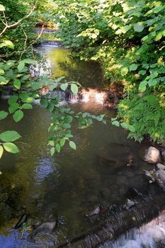 A small stream running between thick bushes is being downloaded by small waterfalls through logs imposed across the stream.