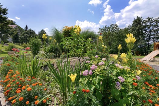 flowerbed with beautiful flowers of different colors against the background of treetops and clouds in the sky