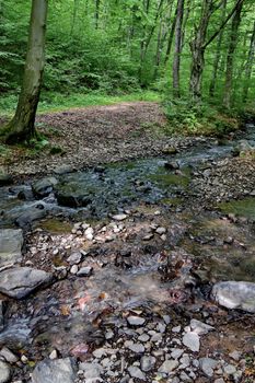 small creek running between small stones in the forest more often