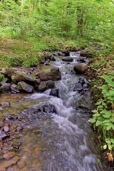 the mountain stream rapidly carries water to the valley through the stone bottom through the forest