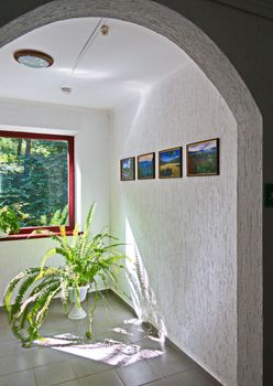 A vase with green long flowers standing indoors on the floor of tiles next to a white wall with paintings and a beautiful view outside the window.