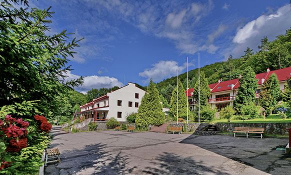 Asphalt track with wooden benches and high coniferous trees on the sides near the buildings of the hotel complex