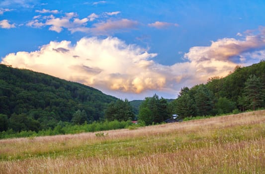 field against a background of mountain forests and beautiful clouds