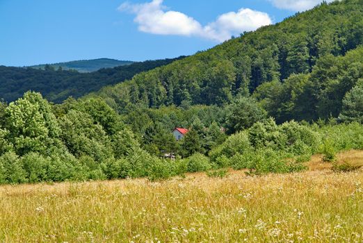 The red roof of a small house from the forest looks at the foot of the mountain