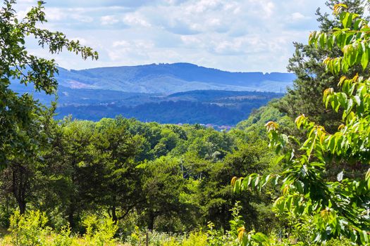 Green trees and shrubs against the backdrop of endless proud mountain ranges and blue skies