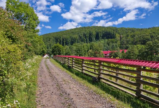The pasture for animals protects from a dirt road and forest, a wooden fence made of logs with a red cover