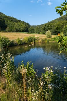 Smooth water surface on the lake against the background of green trees and bushes