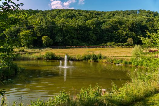 Sprays of water from fountains create ripples on the surface of the lake among green herbs