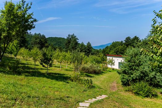 The path leading to the utility room next to a beautiful garden with young fruit trees with a mountain top visible in the distance against the blue sky.