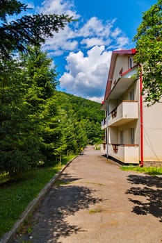 Asphalt pavement around the house, through it brightens a bright green grass