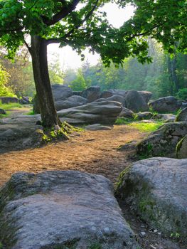 landscape as if from a fairy tale with large stones of various forms lying near a tree