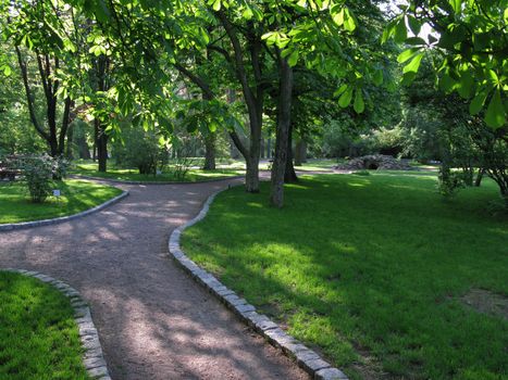 Alley in a beautiful park with hanging green leaves of chestnut on the branches