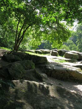 Large flat stones in a chaotic order scattered across a clearing in the shade of trees.