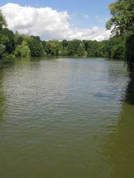 Muddy greenish waters of a large pond with shores with growing lush trees with green foliage with large clouds in the blue sky.