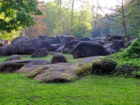 huge boulders chaotically scattered in the forest