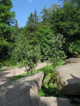 The path goes to a thick green forest thicket with huge boulders lying on the roadside with a prominent blue sky above the treetops.