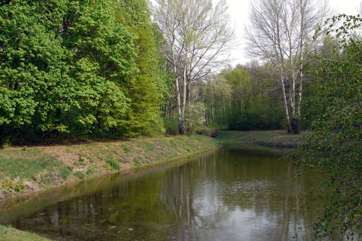 A small pond among the low banks with trees growing on the shore, both with green foliage and without it.