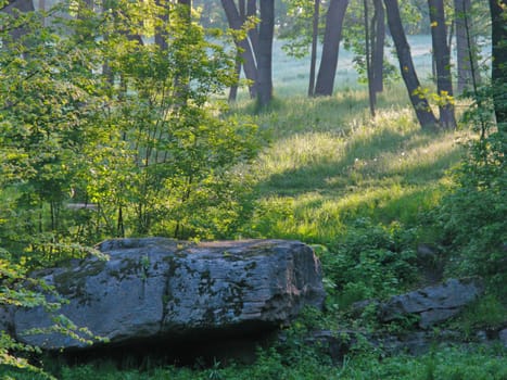 Large massive camouflaged boulders against the background of shallow green bushes and tall deciduous trees