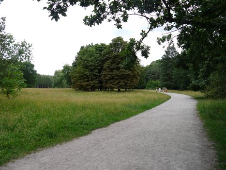 rotation of the alley between dense green grass under the old trees in the park. Uman Ukraine