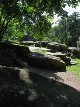 Smooth as if polished boulders in large numbers lying in a clearing in the shade of a branchy tree on a clear summer day.