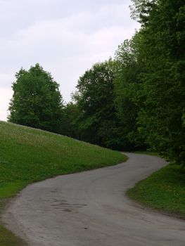 Alley on a green hill with flowers in the park under the trees